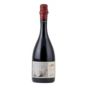 Medici Ermete Gran Concerto Lambrusco Metodo Classico