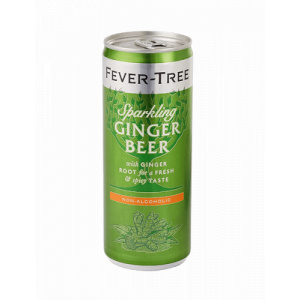 Fever-Tree Non Alc Ginger 25cl