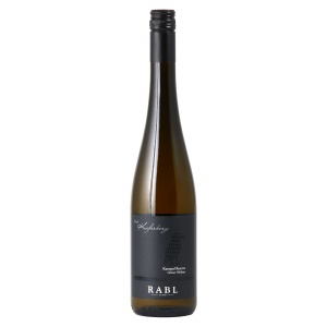 Rabl Grüner Veltliner Käferberg Kamptal Reserve