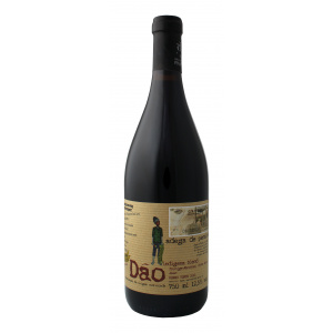 Tinto